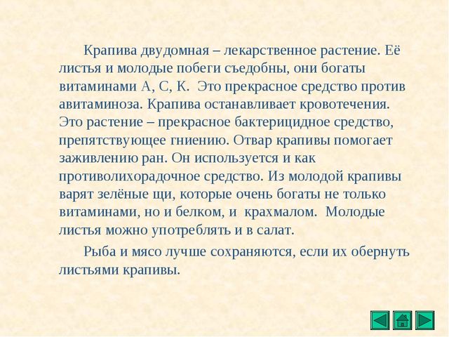 Презентация "Все о растениях"