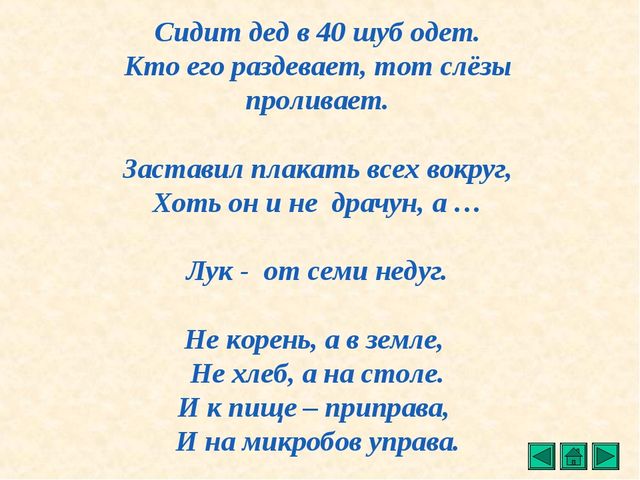 Презентация "Все о растениях"