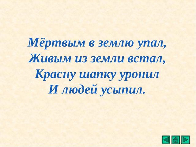 Презентация "Все о растениях"