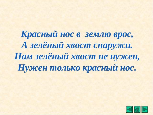 Презентация "Все о растениях"