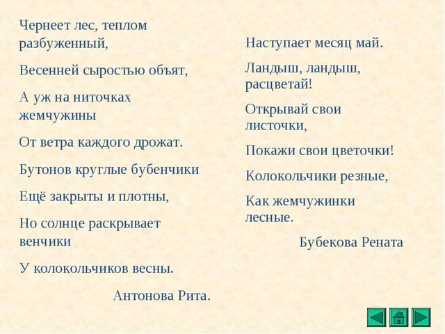 Презентация "Все о растениях"