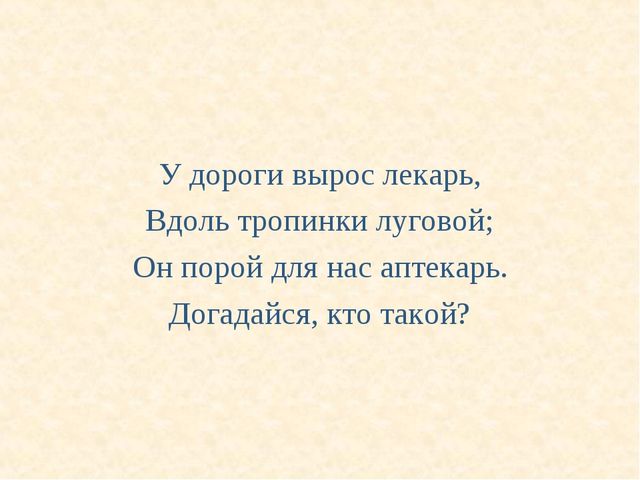 Презентация "Все о растениях"