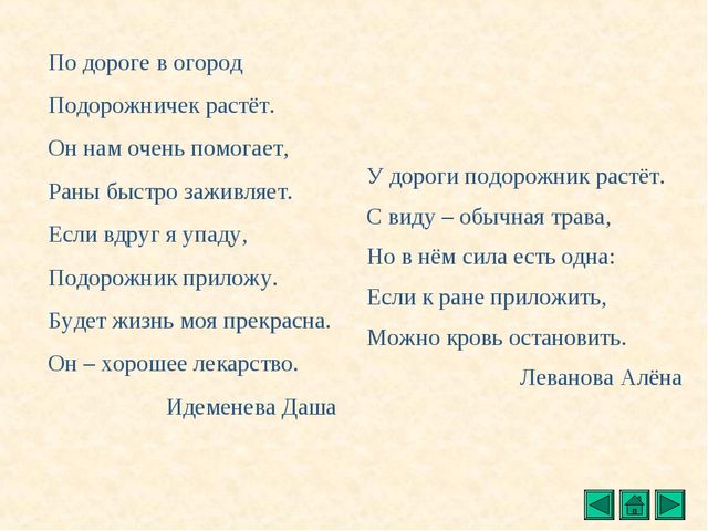 Презентация "Все о растениях"