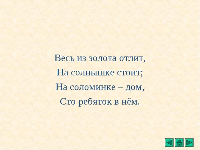 Презентация "Все о растениях"