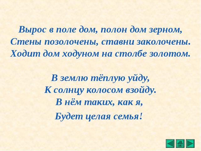 Презентация "Все о растениях"