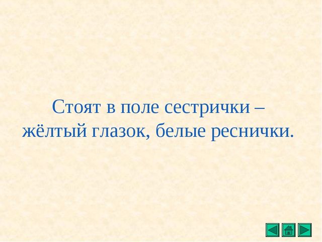 Презентация "Все о растениях"