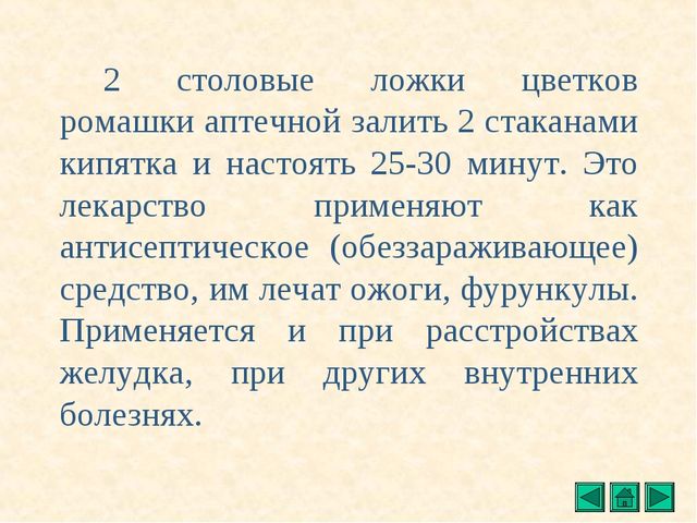 Презентация "Все о растениях"