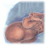 Picture 1