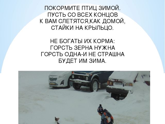 Проект на тему "Папа,мама,я и ты - в мире доброты!"