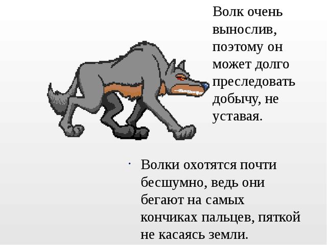 Презентация на тему "Дикие животные. Волк"
