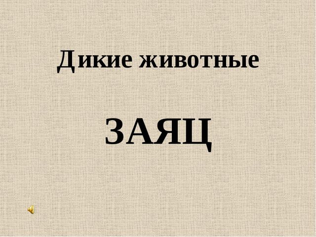 Презентация на тему: "Дикие животные. Заяц"