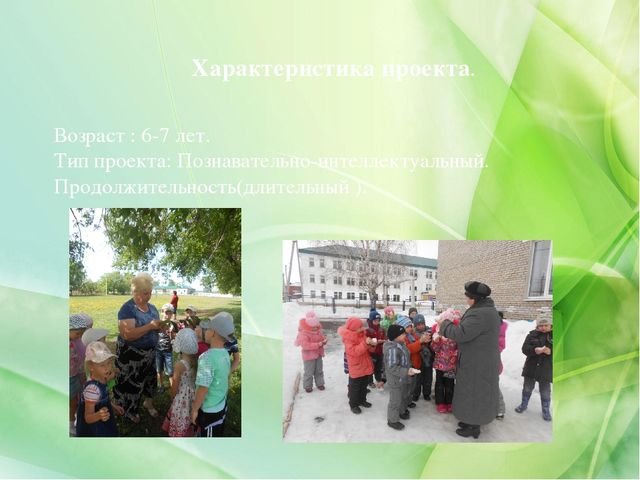 Проект «Экологическое воспитание дошкольников»(старший дошкольный возраст)