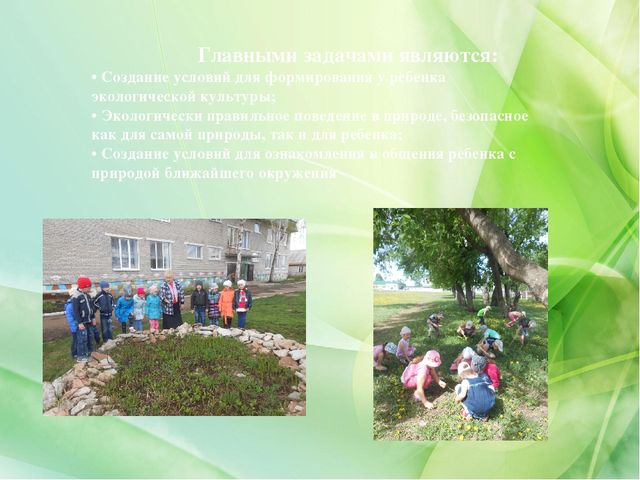 Проект «Экологическое воспитание дошкольников»(старший дошкольный возраст)