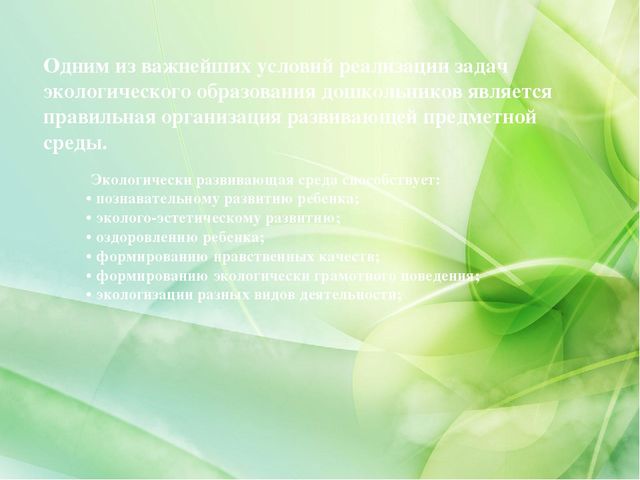 Проект «Экологическое воспитание дошкольников»(старший дошкольный возраст)