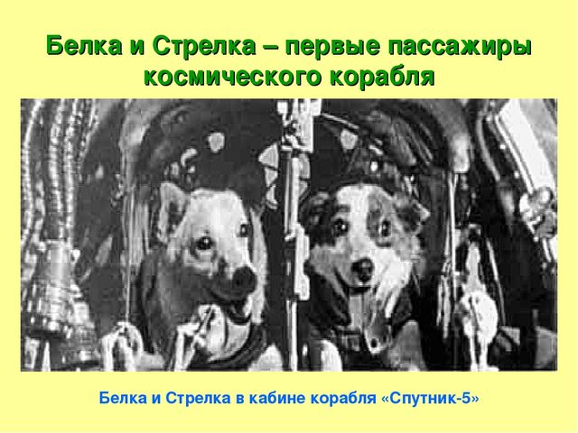 Презентация на тему "Страна,открывшая путь в космос"