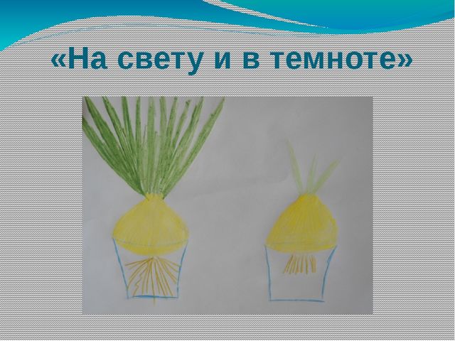 Презентация "Эксперементирование и опыты" старшая группа