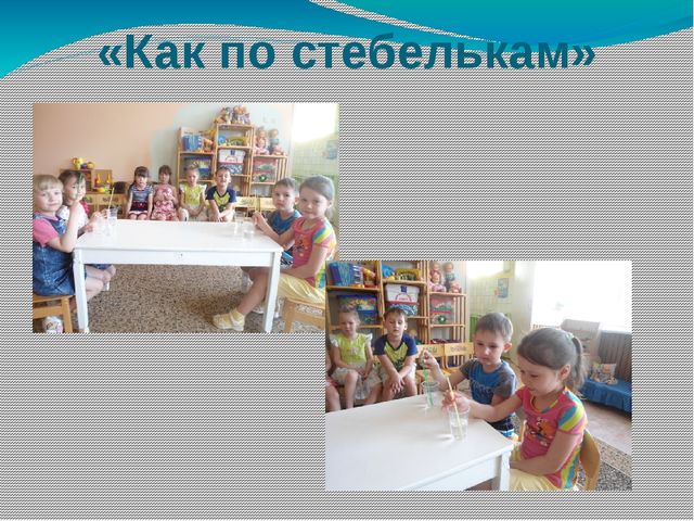 Презентация "Эксперементирование и опыты" старшая группа