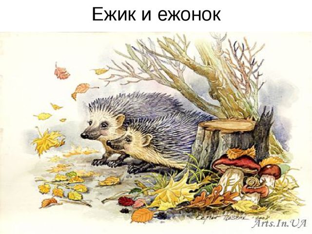 Презентация для дошкольников "Лесные животные и их детеныши"