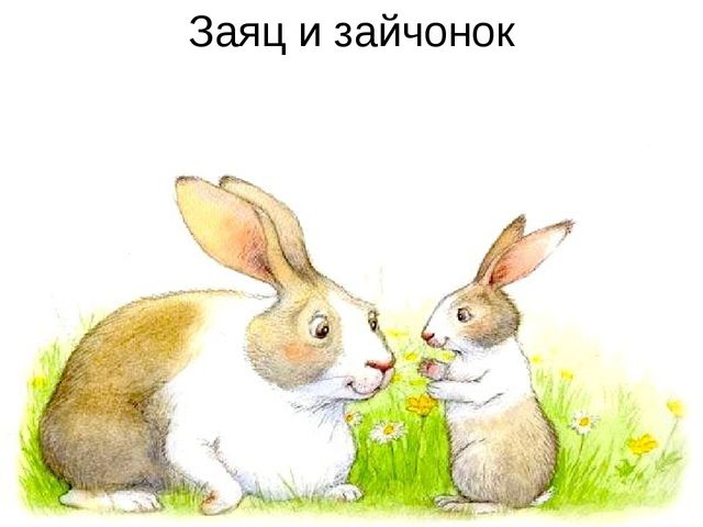Презентация для дошкольников "Лесные животные и их детеныши"