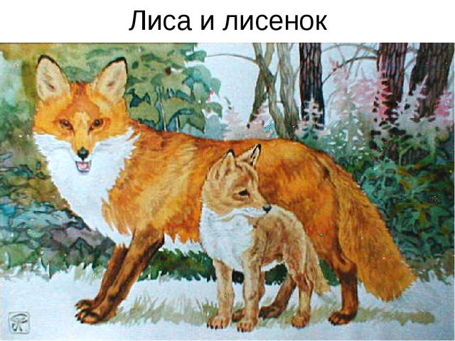 Презентация для дошкольников "Лесные животные и их детеныши"