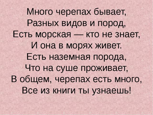 Презентация «Жизнь черепах» к интегрированному занятию по окружающему миру «Черепаха»
