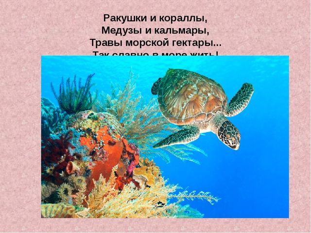 Презентация «Жизнь черепах» к интегрированному занятию по окружающему миру «Черепаха»