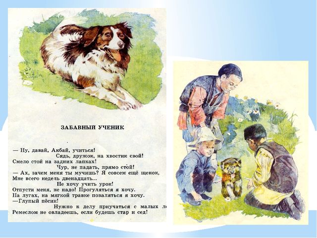 Презентация Г.Тукай ,биография и творчество.