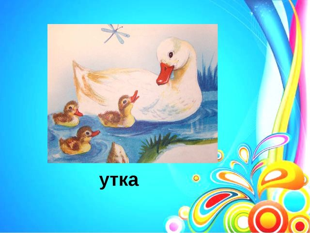 Презентация по обучению грамоте на тему: "Звук [у]. Буквы У, у"