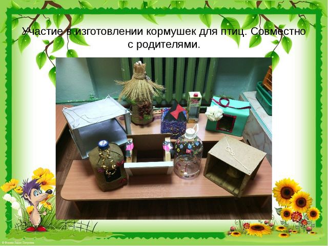Презентация "Природа нашего края."