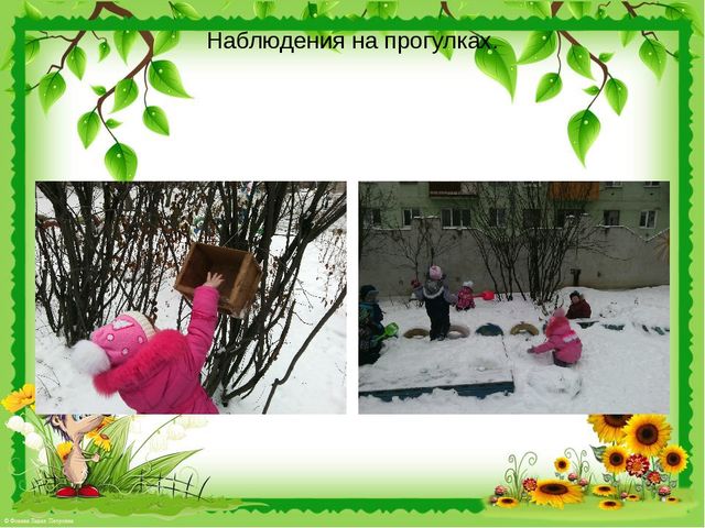 Презентация "Природа нашего края."