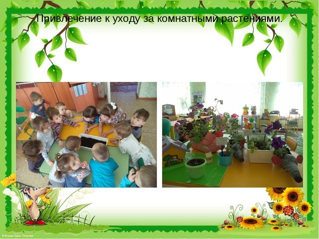 Презентация "Природа нашего края."