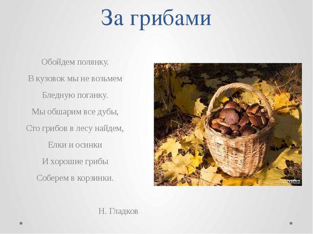 Проект "Путешествие в лес!"