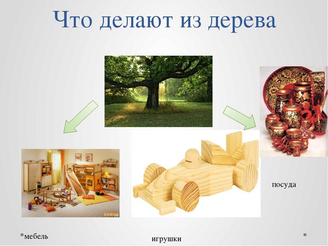 Проект "Путешествие в лес!"