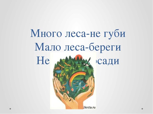 Проект "Путешествие в лес!"