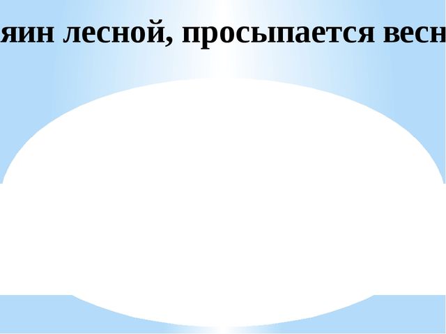 Проект старшей группы "Признаки весны"