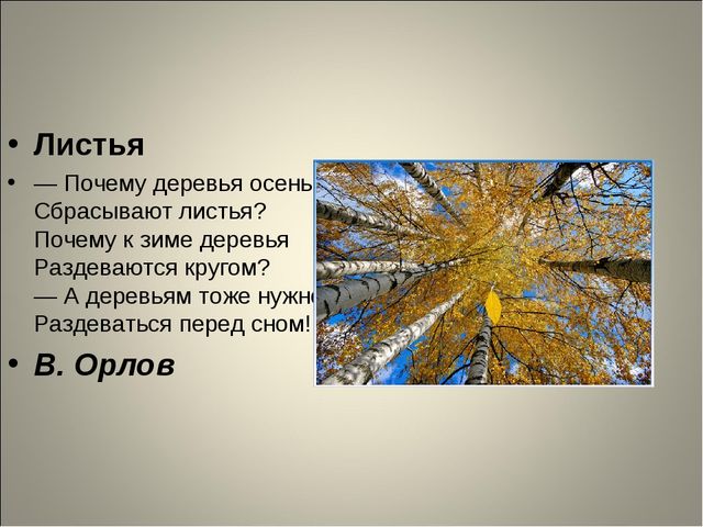 Занятие по развитию речи 6-7 лет. "Золотая осень"