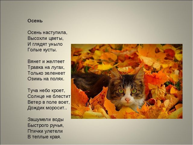 Занятие по развитию речи 6-7 лет. "Золотая осень"