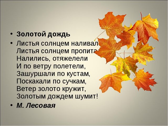 Занятие по развитию речи 6-7 лет. "Золотая осень"