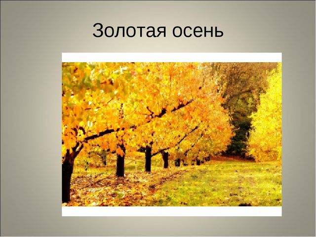 Занятие по развитию речи 6-7 лет. "Золотая осень"
