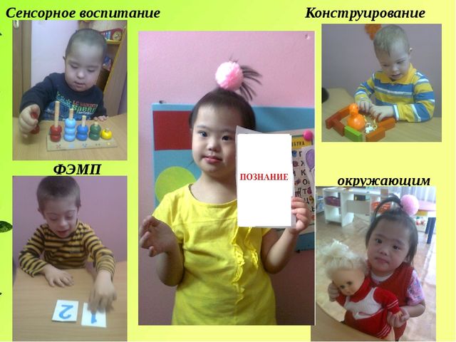Презентация на тему "Дефектологическое сопровождение детей с нарушением интеллекта"