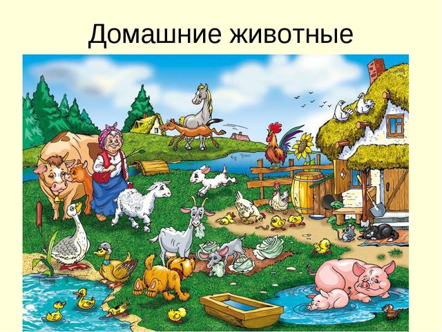 Презентация города и деревня