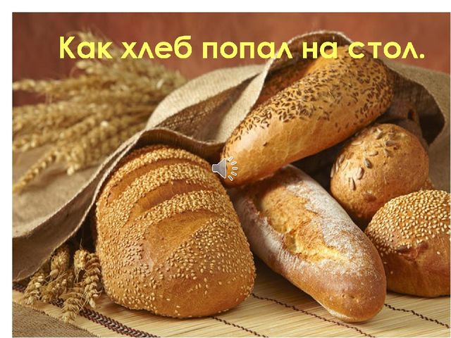 Презентация "Как хлеб попал на наш стол"