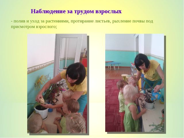 Проект-презентация "Трудовое воспитание с детьми раннего дошкольного возраста"
