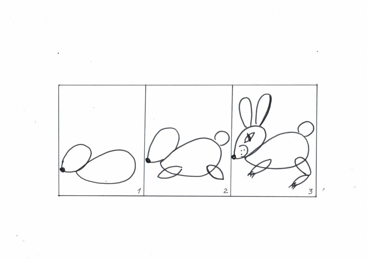 Поэтапное рисование зайца в старшей группе