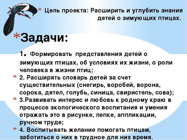 Презентация в детском саду"Зимующие птицы" старшая группа