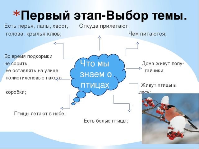 Презентация в детском саду"Зимующие птицы" старшая группа