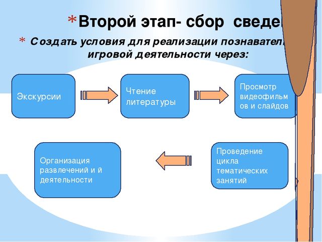 Презентация в детском саду"Зимующие птицы" старшая группа