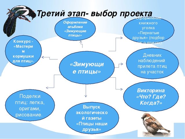 Планирование птицы. Системная паутинка по проекту зимующая птица. Путинка зимующие птицы. Паутинка зимующие птицы. Системная паутинка по теме зимующие птицы.