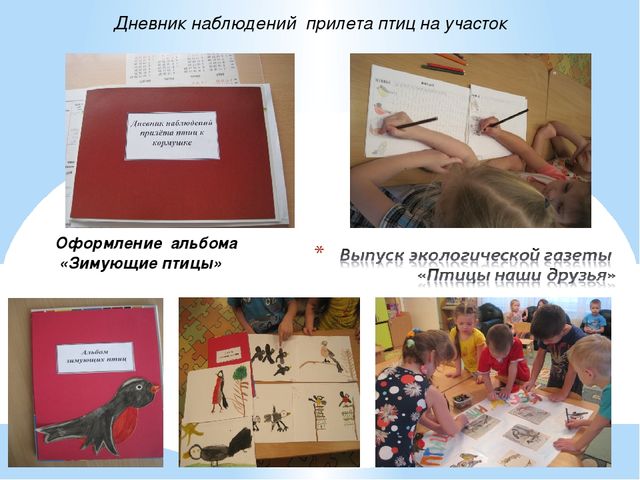 Презентация в детском саду"Зимующие птицы" старшая группа