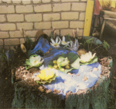 DSCN7345.JPG